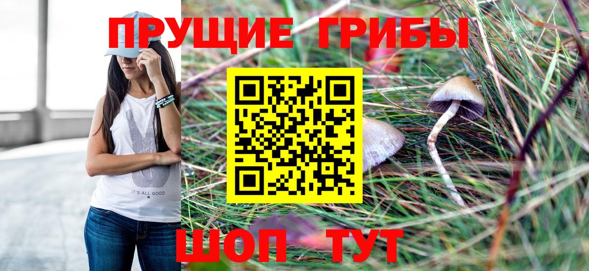 Галлюциногенные грибы MAGIC MUSHROOMS Псков