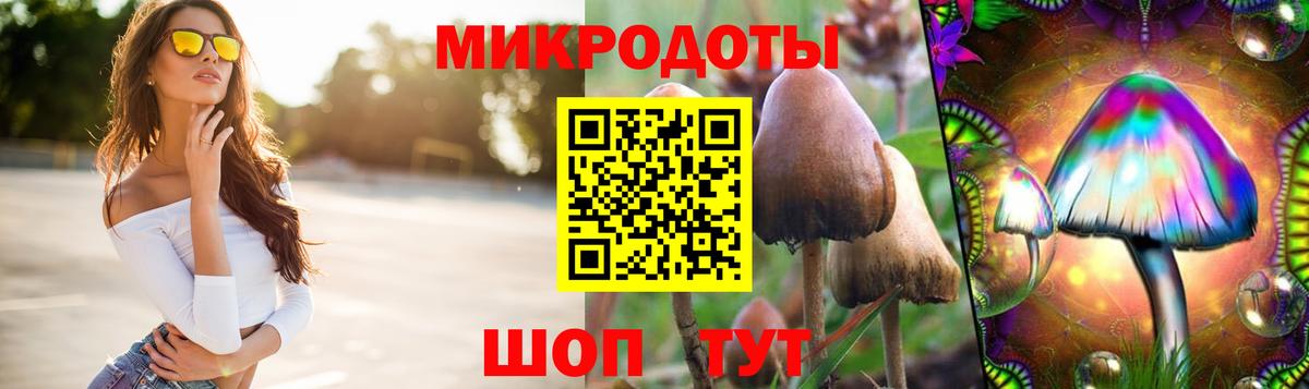 Псков  где можно купить наркотик  Вход с VPN  Псилоцибиновые грибы Magic Shrooms 